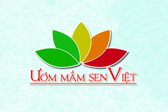 UMSV logo